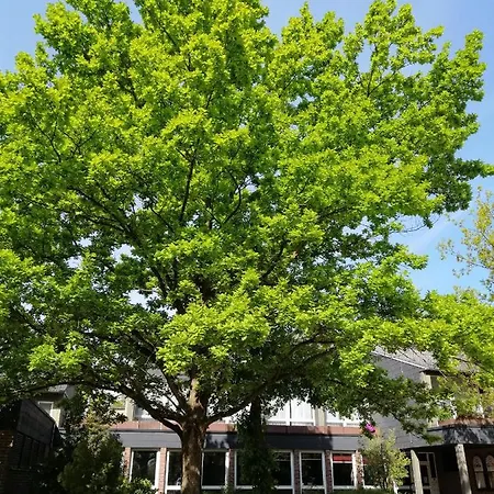 Ξενοδοχείο Stadthalle